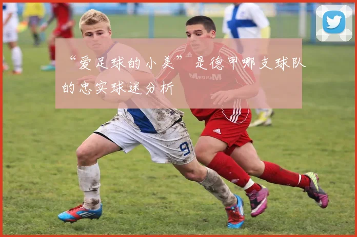 “爱足球的小美”是德甲哪支球队的忠实球迷分析