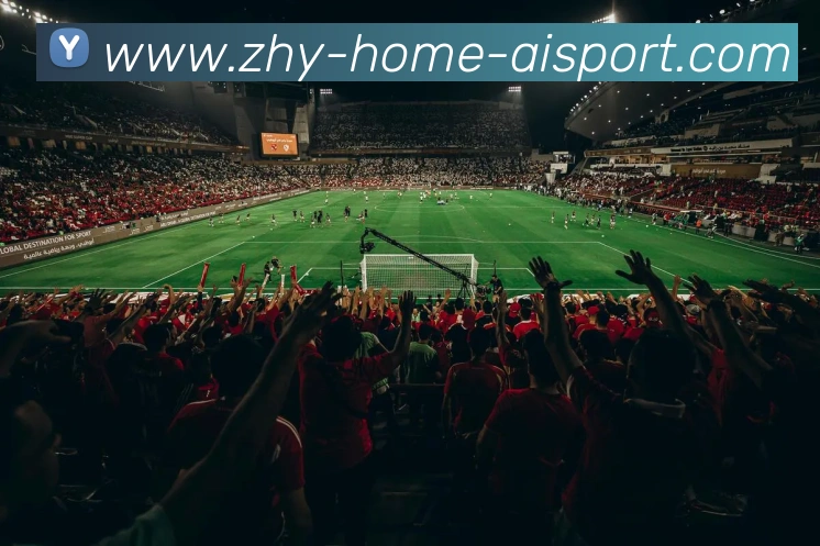 爱体育品牌故事