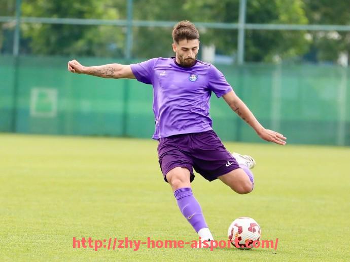 爱体育-法甲各俱乐部预算分配结构及财政审计情况